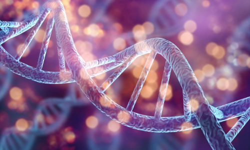 Man Made DNA That Redefines ‘Life’