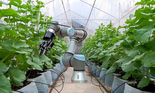 Are Robots the Future of Farming?